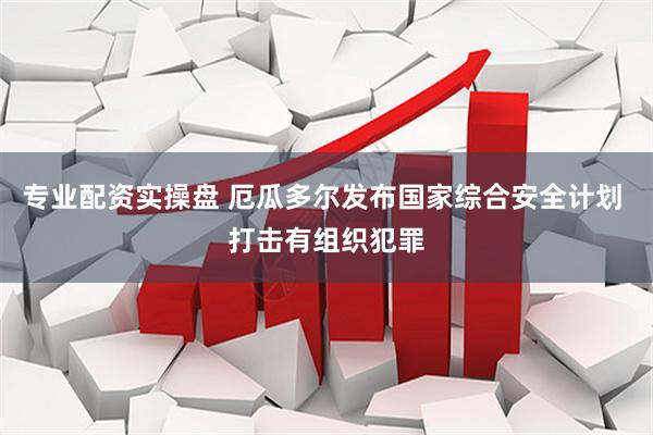 专业配资实操盘 厄瓜多尔发布国家综合安全计划 打击有组织犯罪